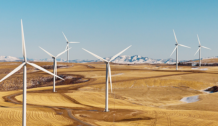 Security for oil, gas and energy infrastructure in Oman — Dahua B2B supply